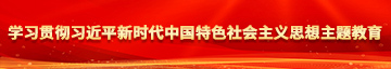 日老女人逼网站学习贯彻习近平新时代中国特色社会主义思想主题教育