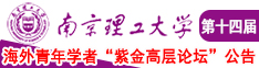 麻豆日批抠批南京理工大学第十四届海外青年学者紫金论坛诚邀海内外英才！